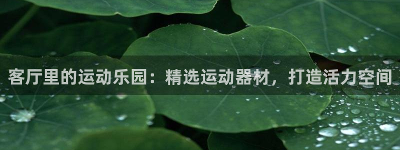 fb体育注册：客厅里的运动乐园：精选运动器材，打造活