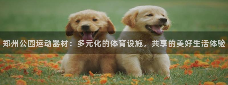 fb体育娱乐下载：郑州公园运动器材：多元化的体育设施