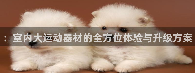fb体育招商电话是多少啊：：室内大运动器材的全方位体验与升级