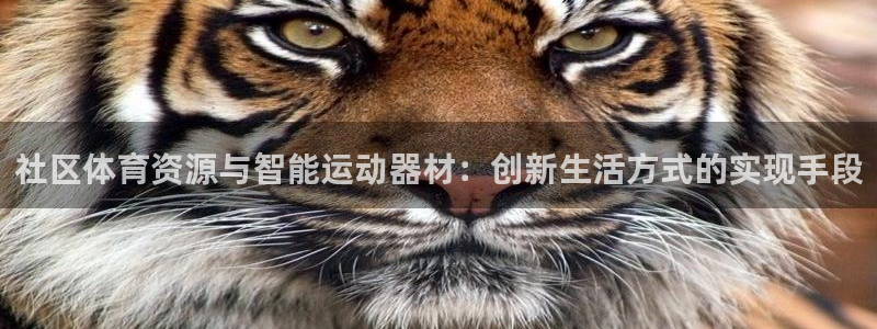 fb体育招商电话号码是多少号：社区体育资源与智能运动器材：创