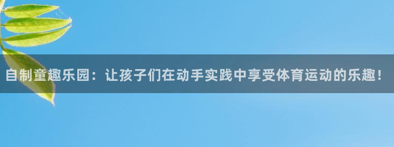 fb体育平台注册流程视频：自制童趣乐园：让孩子们在动手实践中