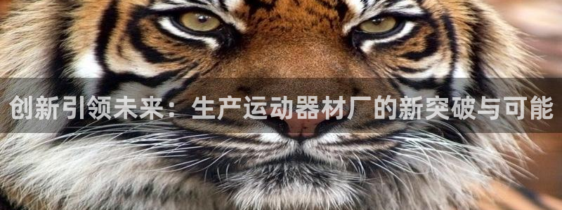 fb体育娱乐40996：创新引领未来：生产运动器材厂