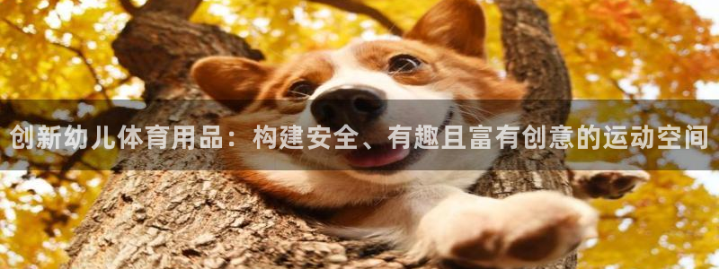 fb体育集团官网首页网址：创新幼儿体育用品：构建安全