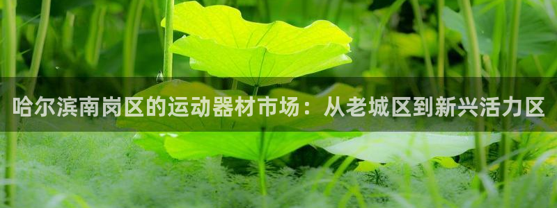 fb体育平台假的吗是真的吗：哈尔滨南岗区的运动器材市