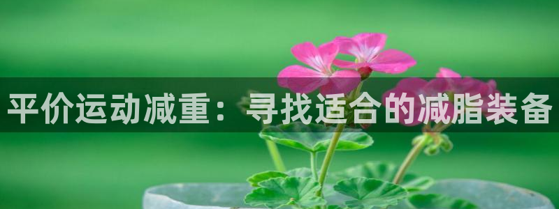 fb体育集团官网首页：平价运动减重：寻找适合的减脂装