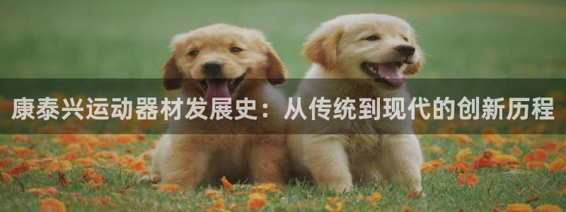 fb体育集团官网网址：康泰兴运动器材发展史：从传统到