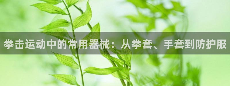 fb体育官方：拳击运动中的常用器械：从拳套、手套到防