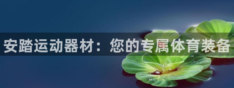 海南fb体育：安踏运动器材：您的专属体育装备