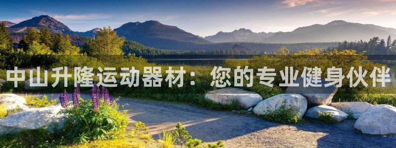 fb体育五金厂：中山升隆运动器材：您的专业健身伙伴